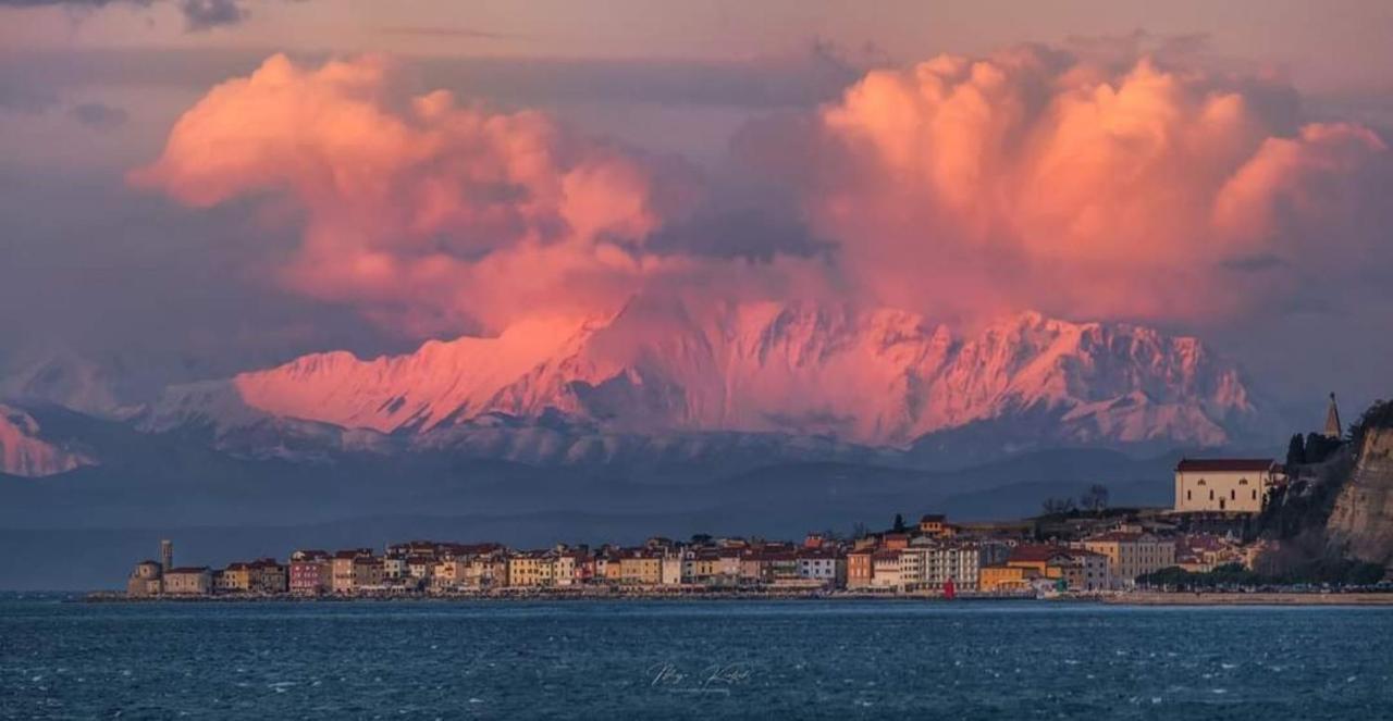 Apartmán Studio Carmen Piran Exteriér fotografie